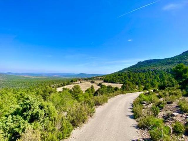 Casa Rural en venta en Ayora