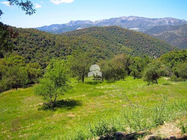 Casa en venta en Serranía de Ronda, Andalucía