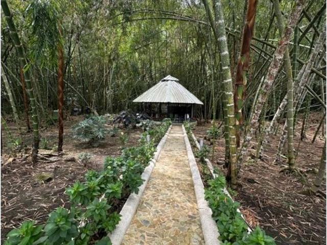 Casa de campo de alto standing de 3 dormitorios en alquiler Pereira, Colombia