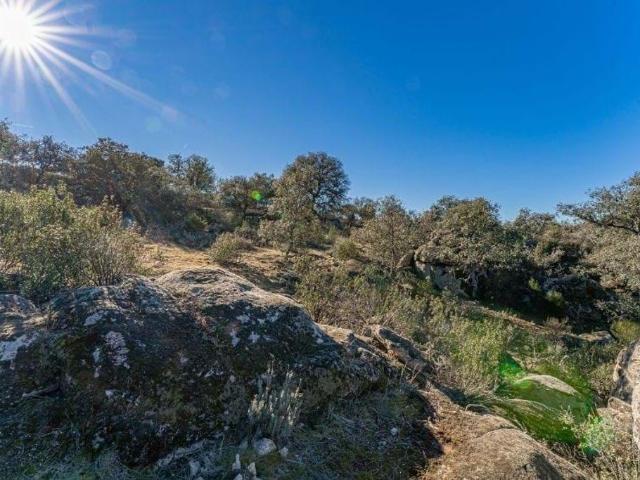 Casa en venta en Madrid, Los Barrancos Casa en venta en Madrid, Los Barrancos