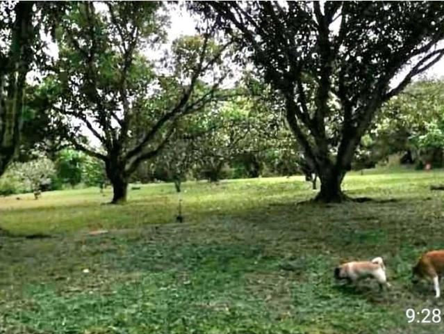 Casa de campo de alto standing de 3 dormitorios en venta San Jerónimo, Colombia