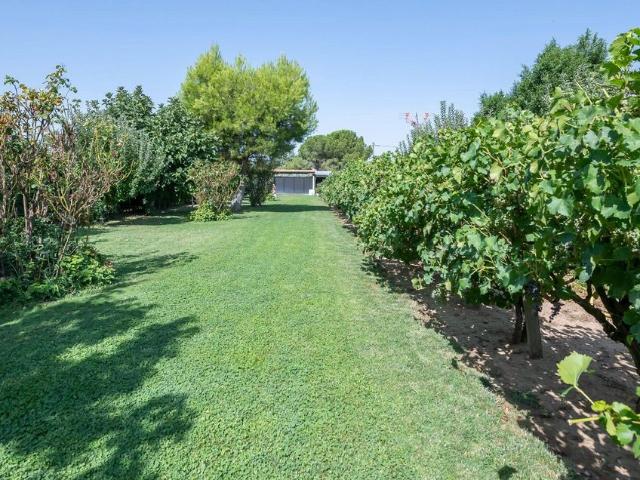 Chalet en venta en Fuente El Saz De Jarama, Madrid