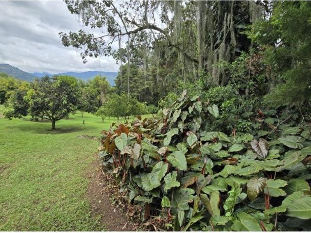 Casa de campo de alto standing de 8 dormitorios en venta Copacabana, Departamento de Antioquia