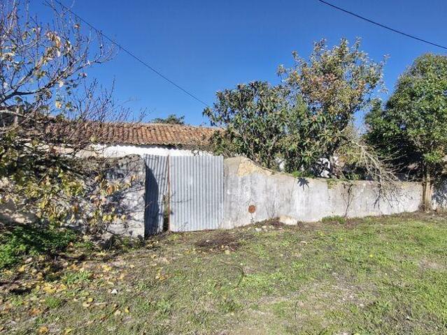 Vivenda venda em Santarém