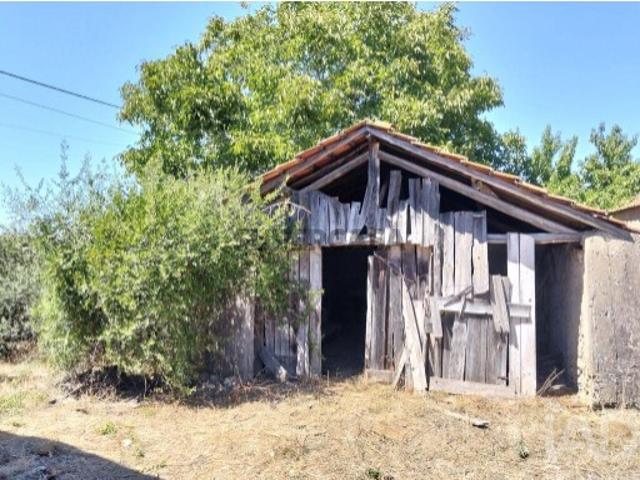 Casa venda em Torres Novas, Santarém