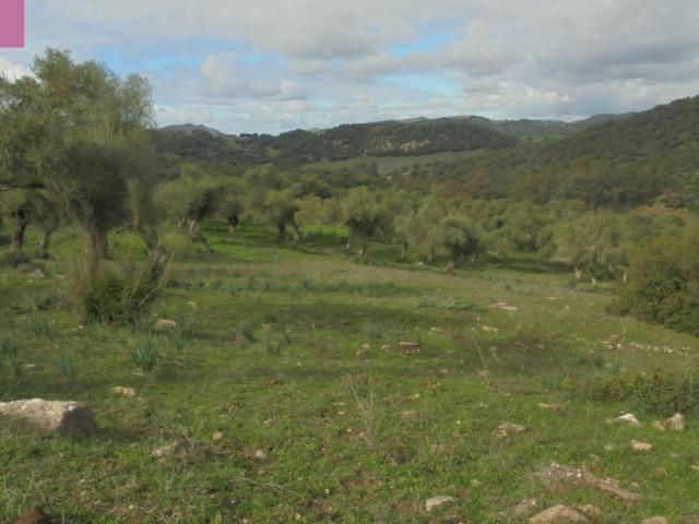 Casa en venta en Algar