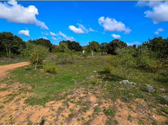 Casa en alquiler en Tierra de Barros, Extremadura