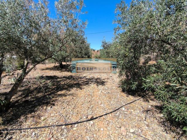 Casa en venta en Valle del Guadalhorce, Andalucía