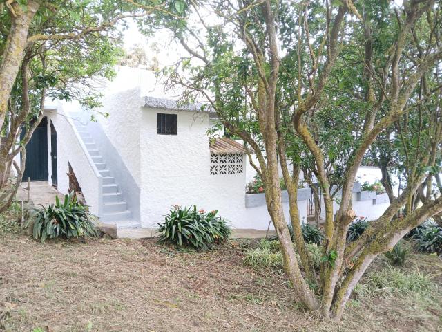 Casa en venta en La orotava