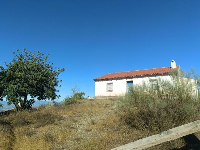 Casa en venta en Málaga, Ciudad Jardín