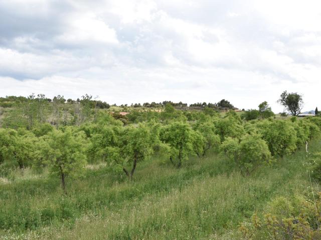 Casa en venta en Monroyo