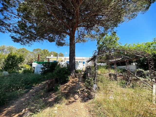 Casa en venta en Olivella, Cal Surià