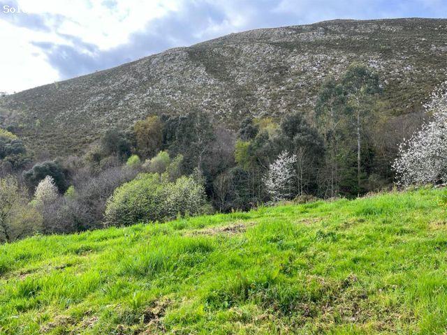 Casa en venta en Arguañes, Oviedo