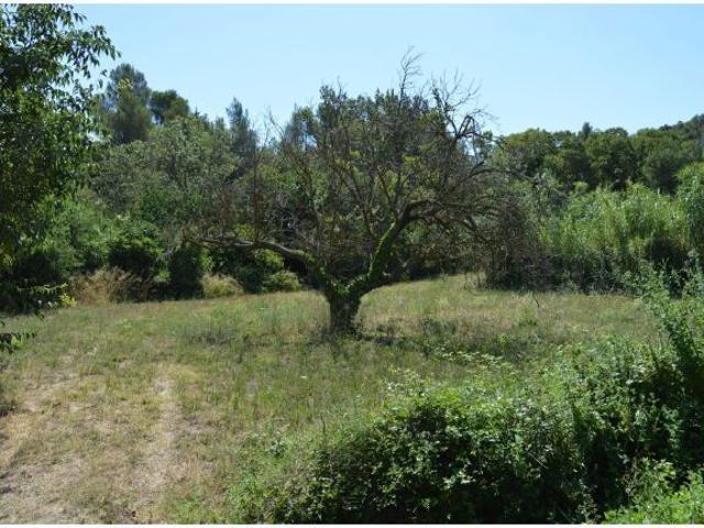 Casa en venta en Alt Empordà, Catalunya