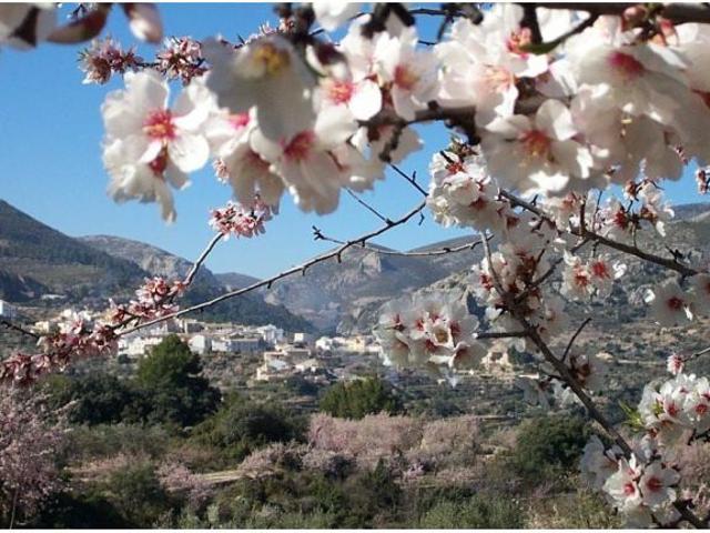 Casa en venta en la Marina Baixa, Valencia