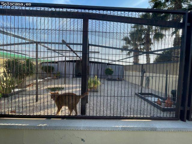 Casa en venta en la Punyalà, el Baix Vinalopó