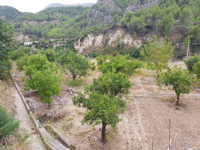 Casa en venta en la Marina Baixa, Valencia