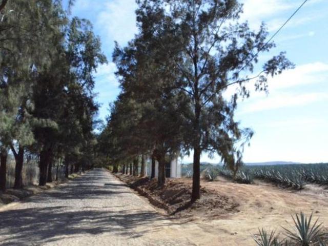 CASA DE CAMPO EN VENTA EN HUERTAS EL ZAMORANO, JAL