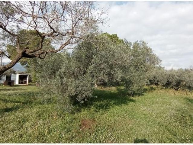 Casa en venta en Baix Ebre, Catalunya
