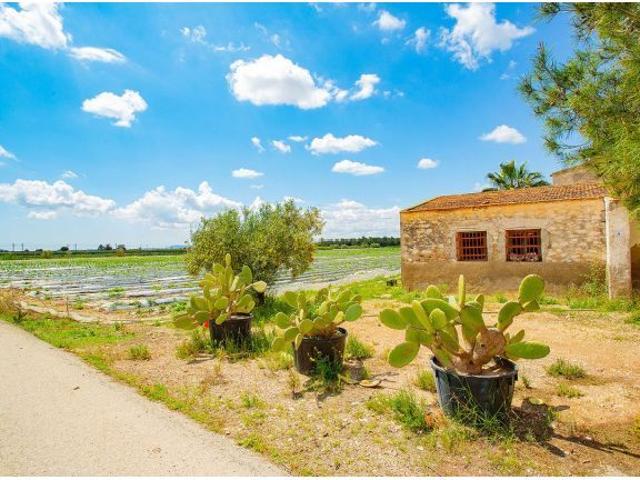 Casa en venta en el Baix Segura / La Vega Baja, Valencia