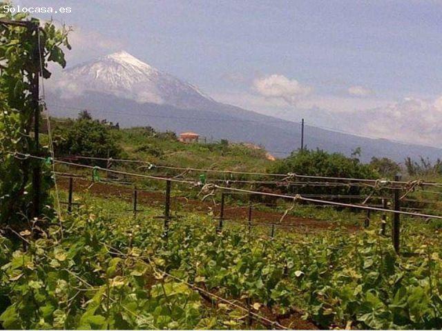 Casa en venta en Tacoronte, Canarias