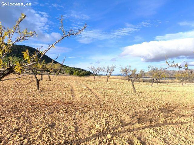 Casa en venta en Altiplano, Murcia
