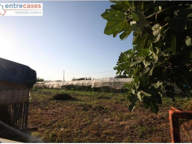 Casa en venta en Almardà, el Camp de Morvedre