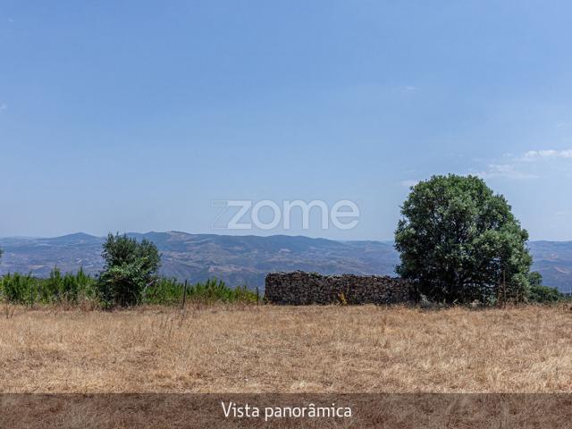 Quinta venda em Torre De Moncorvo, Bragança