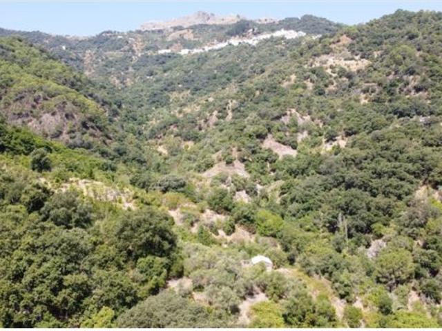 Casa en venta en Serranía de Ronda, Andalucía