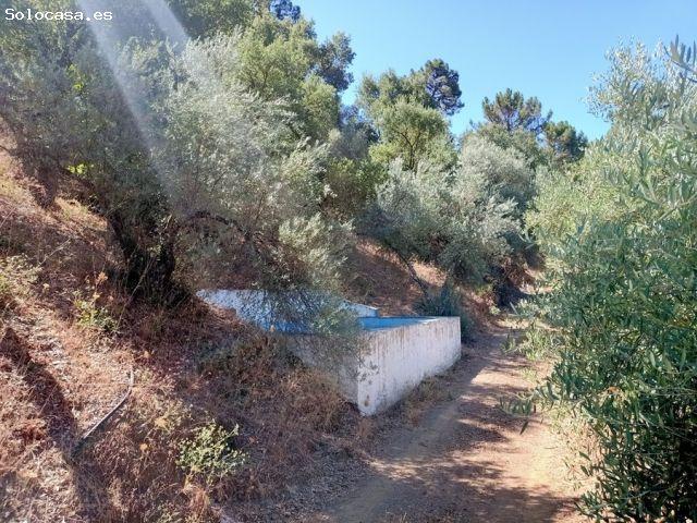 Casa en venta en Serranía de Ronda, Andalucía