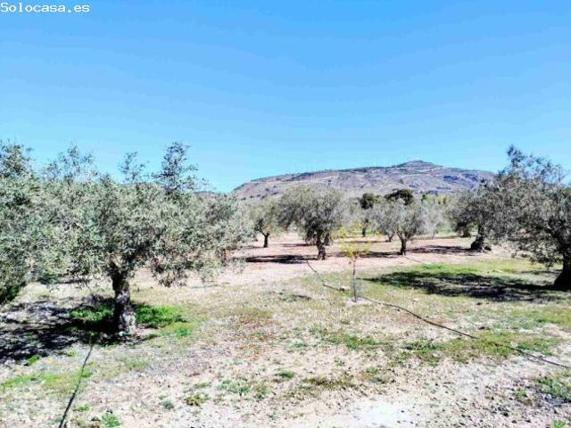 Casa en venta en Caudete, Castilla-La Mancha