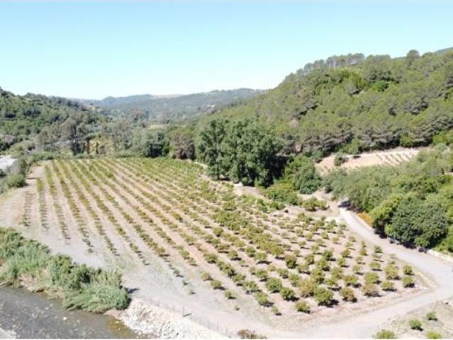 Casa en venta en Serranía de Ronda, Andalucía