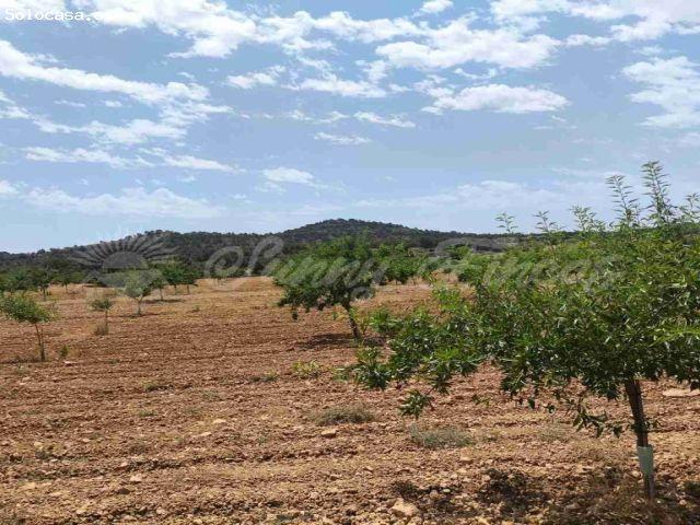 Casa en venta en Altiplano, Murcia
