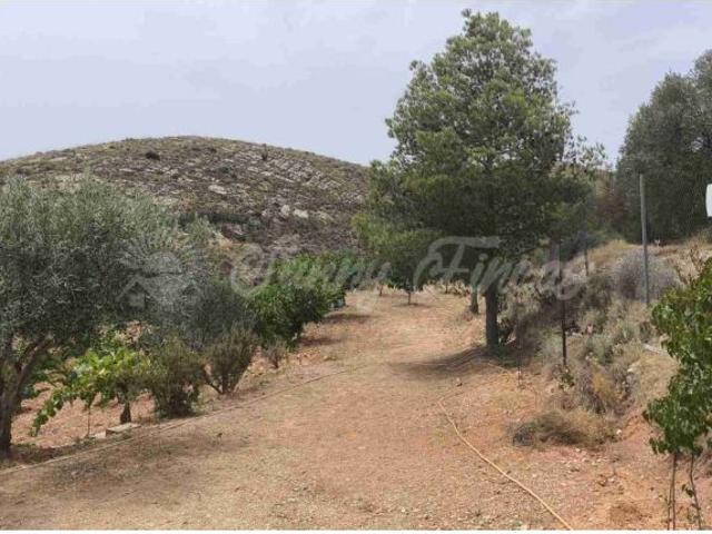 Casa en venta en Montealegre Del Castillo, Castilla-La Mancha