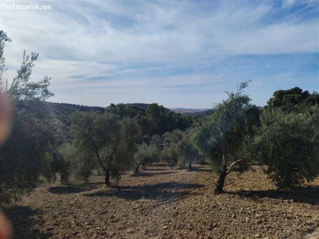 Casa en venta en Sierra de Cádiz, Andalucía