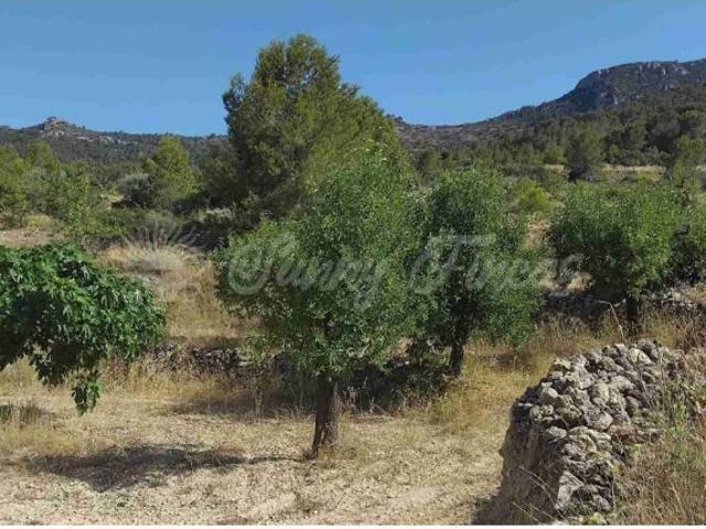 Casa en venta en el Vinalopó Mitjà / El Vinalopó Medio, Valencia