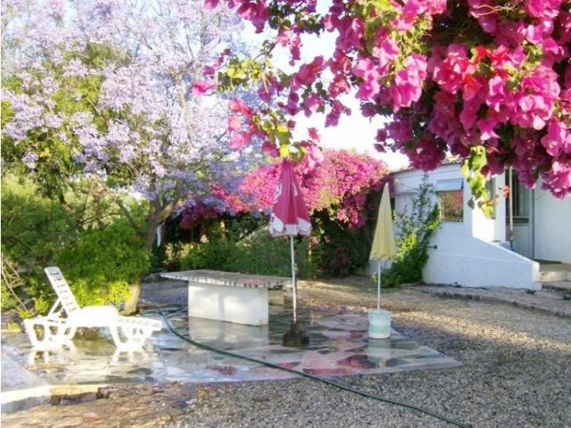 Quinta venda em Tavira, Faro