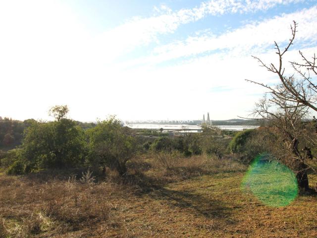 Quinta venda em Parchal, Faro