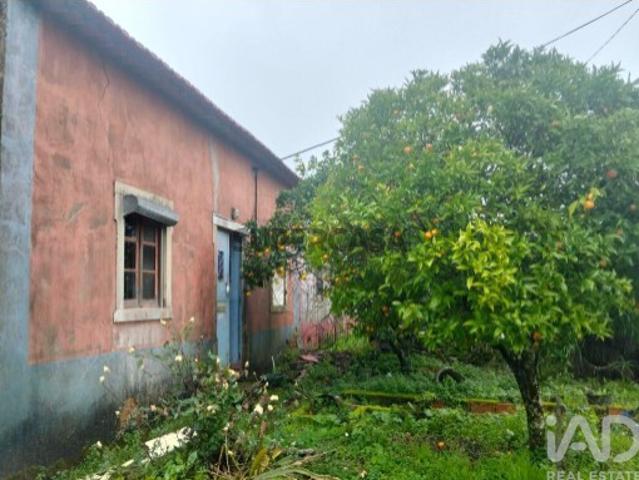 Casa venda em Rego Da Murta, Santarém