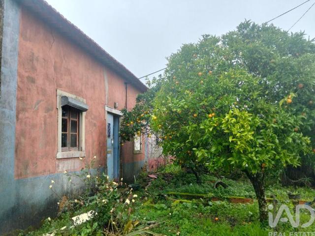Vivenda venda em Rego Da Murta, Santarém