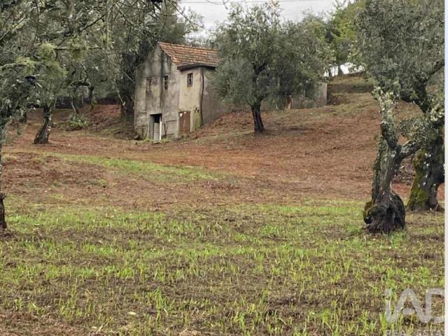 Casa venda em Castelo Branco, Cumeada