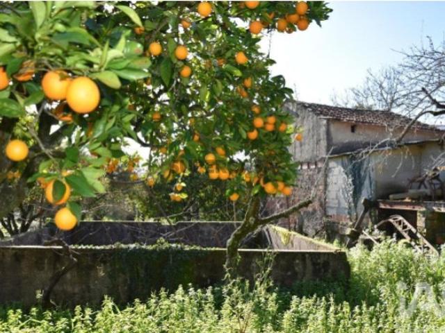 Casa venda em Jamprestes, Rego Da Murta