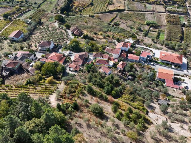Casa venda em Lamego, Viseu