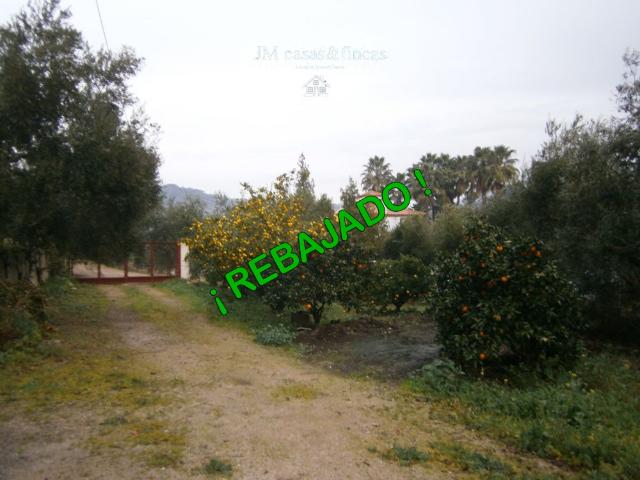 Casa en venta en Sierra de Cádiz, Andalucía