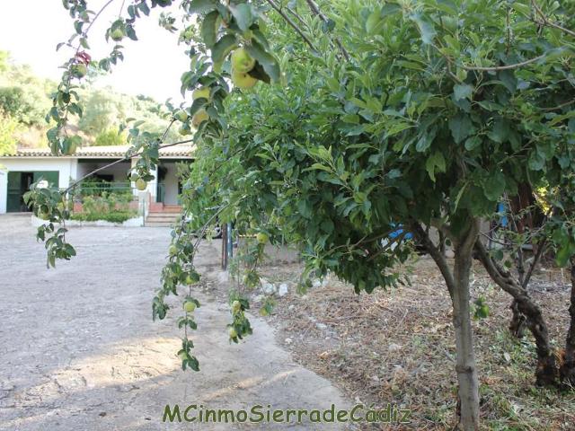 Casa en venta en Sierra de Cádiz, Andalucía