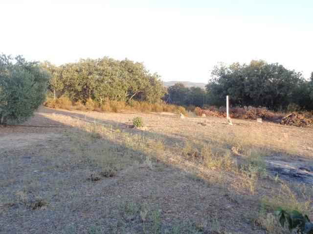 Casa en venta en Castellar De Santiago, Castilla-La Mancha