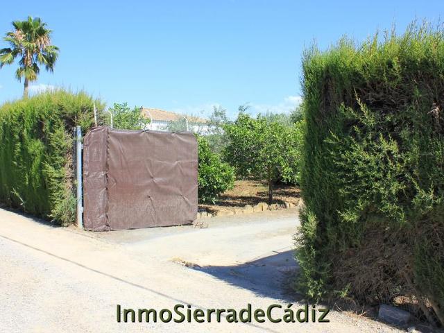 Casa en venta en El Coronil, Andalucía