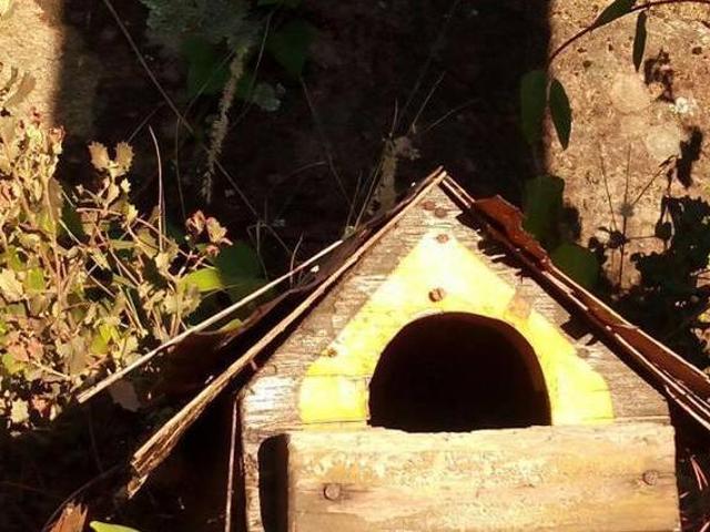 Casa en alquiler en San Martín De Valdeiglesias, Madrid