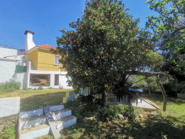 Vivenda venda em Coimbrã, Sé Nova
