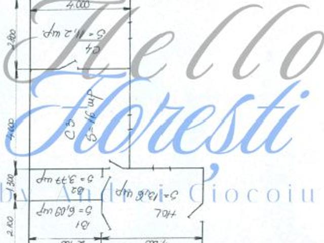 Casă închirieri